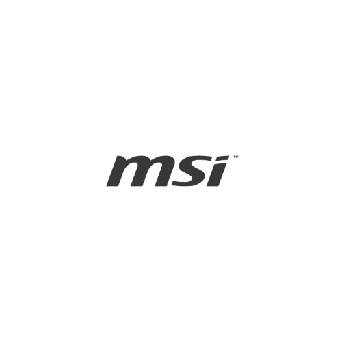 Ordinateurs MSI - Batteries, Chargeurs & Accessoires Accessoires Energie