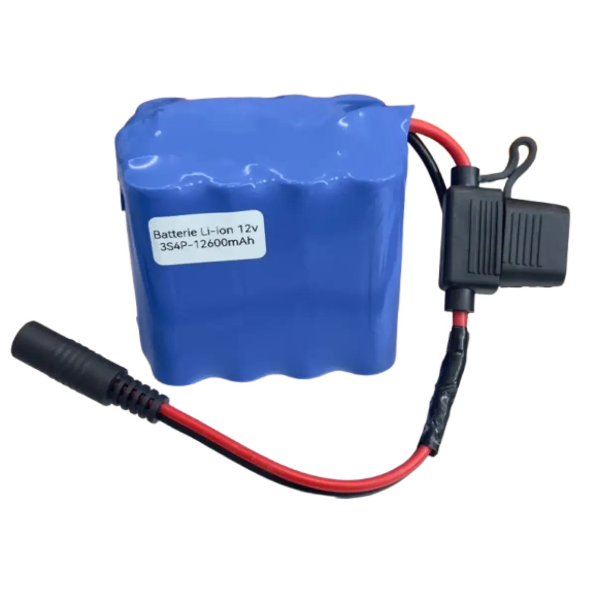 Batterie 3S4P Li-ion 12V 12.6Ah avec chargeur
