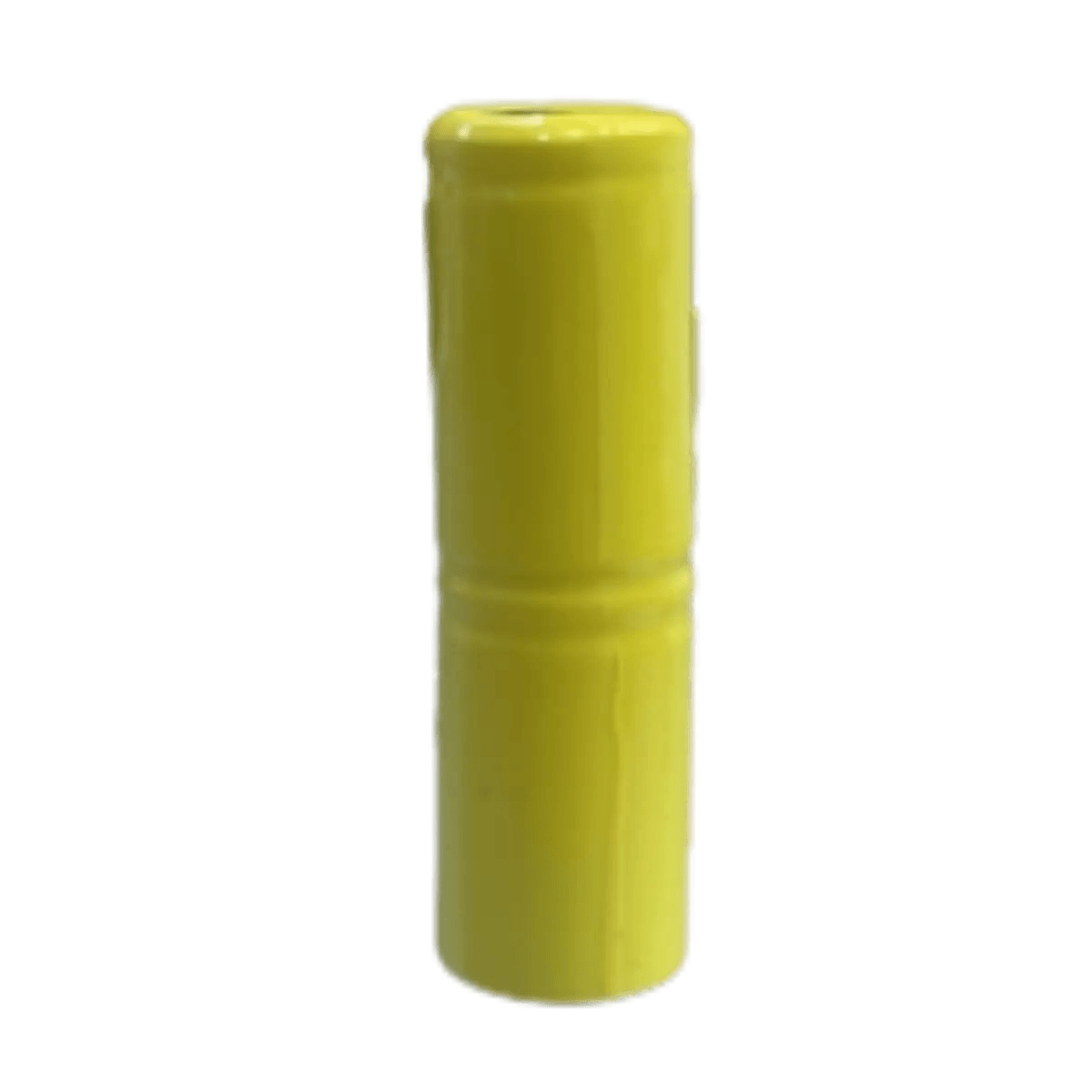 Batterie Ni-Mh 2.4V pour brosse à dents électrique Philips, Oreal B, Sonic etc..