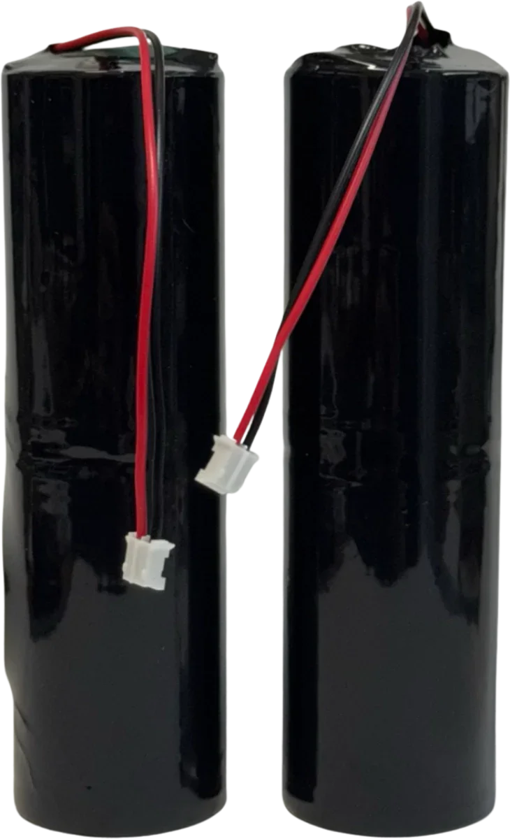 2x Piles 3V Alcalines Format D pour Alarme Piscine KidsGuard 2 – 6V Accessoires Energie