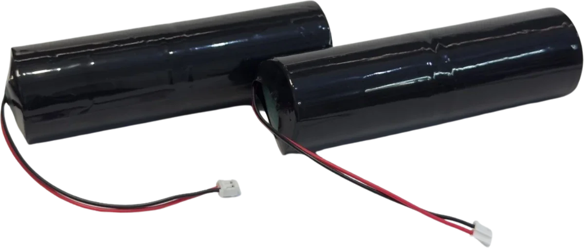 2x Piles 3V Alcalines Format D pour Alarme Piscine KidsGuard 2 – 6V Accessoires Energie