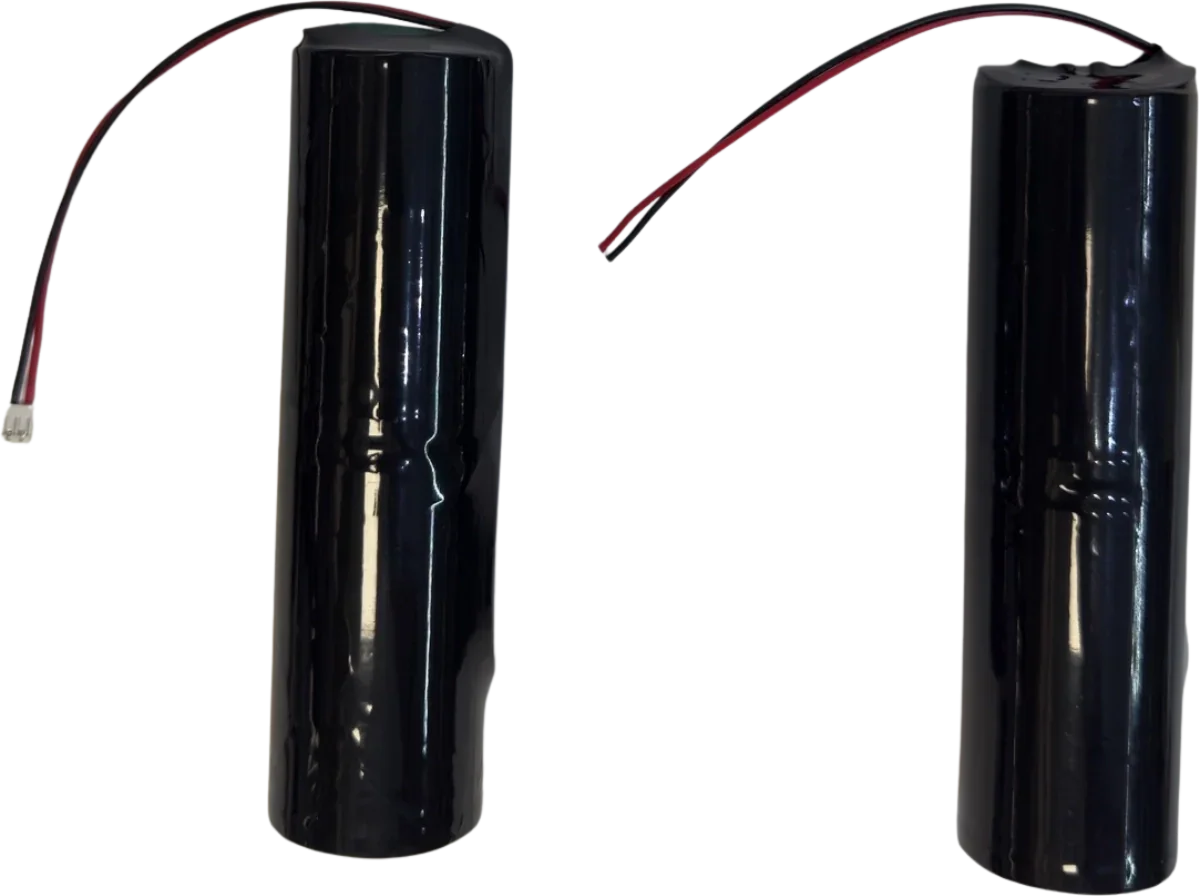 2x Piles 3V Alcalines Format D pour Alarme Piscine KidsGuard 2 – 6V Accessoires Energie