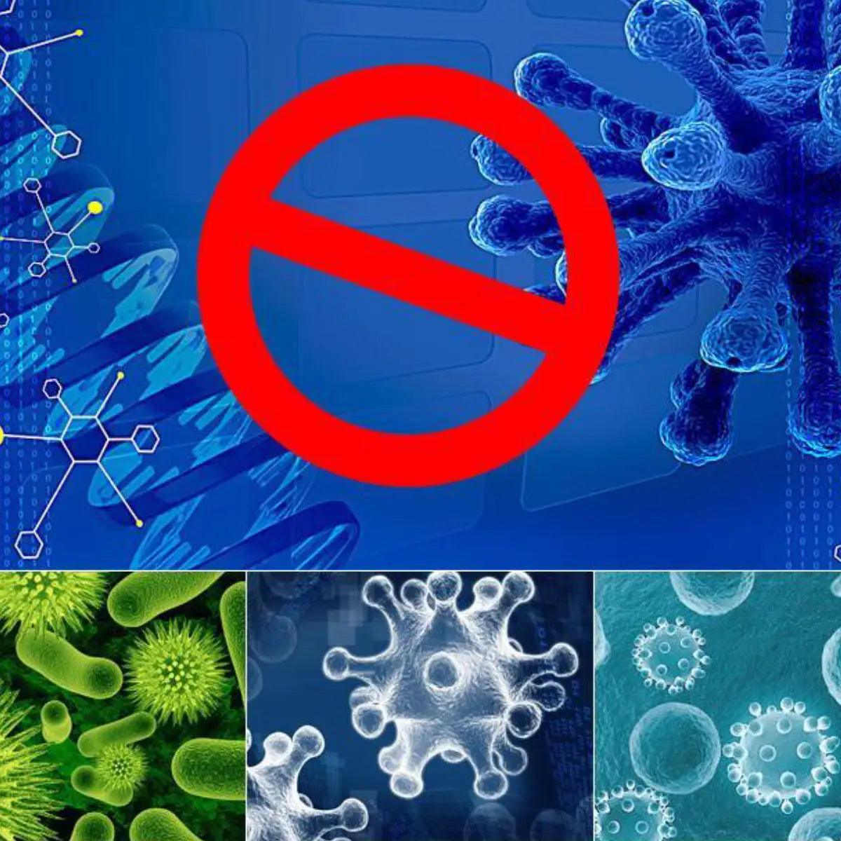 Lampes 220V ac à Quartz UVC ozone 25W