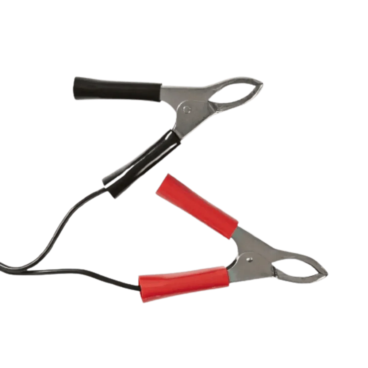 Chargeur de Batterie au Plomb AGM 2v, 6v, 12v 600mA