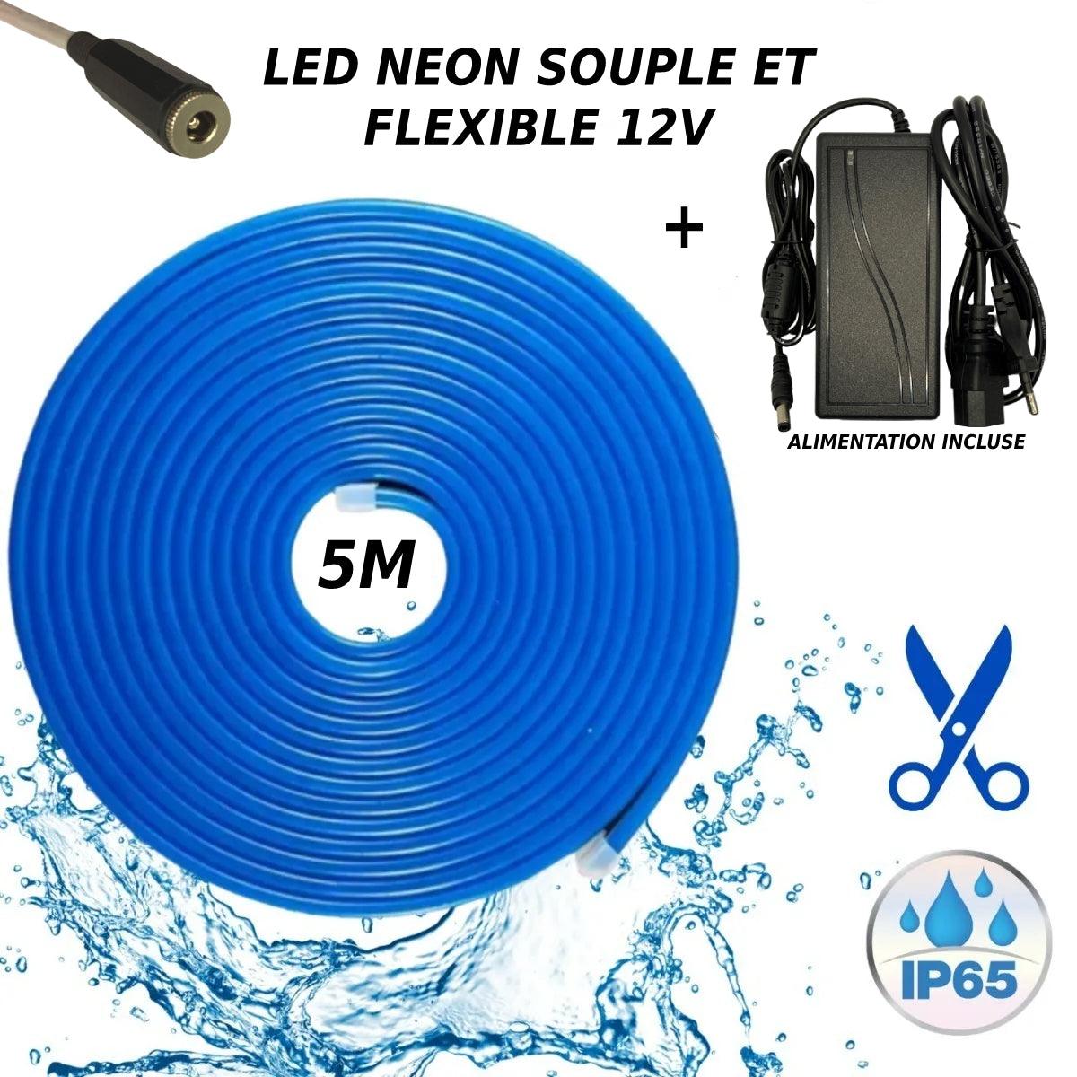 Bande LED néon flexible 12V Bleu 5M Accessoires Energie
