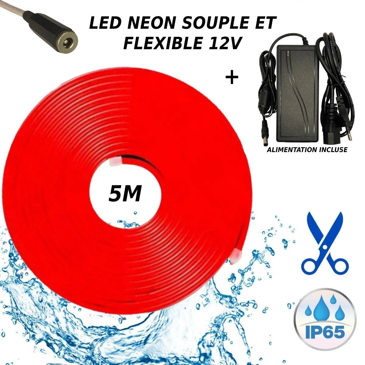Bande LED néon flexible 12V Rouge 5M