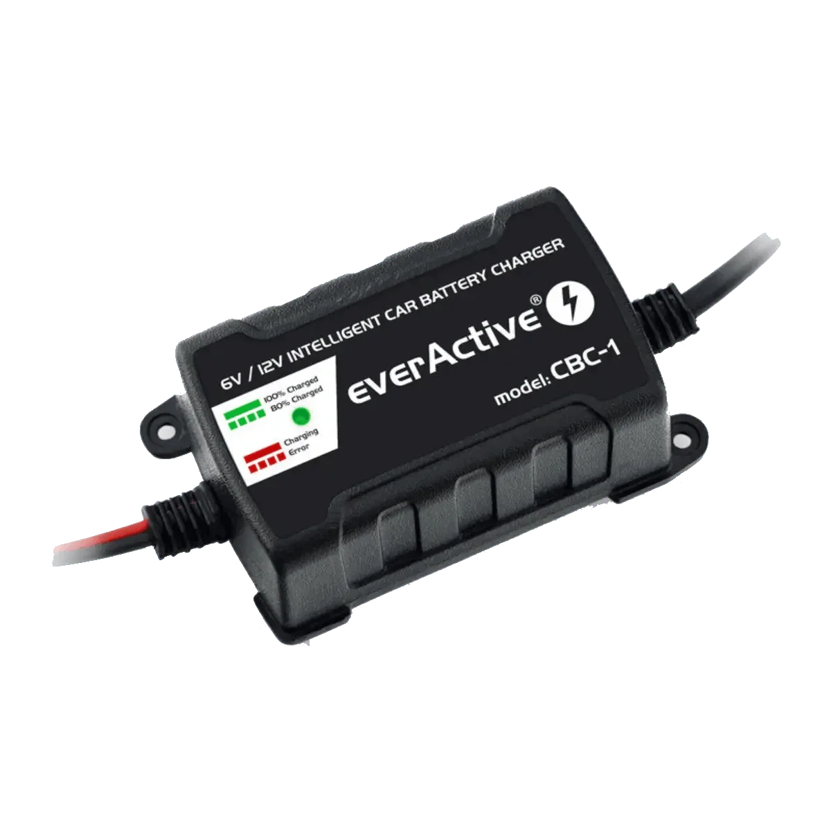 Chargeur intelligent pour batterie de véhicules 6V et 12V