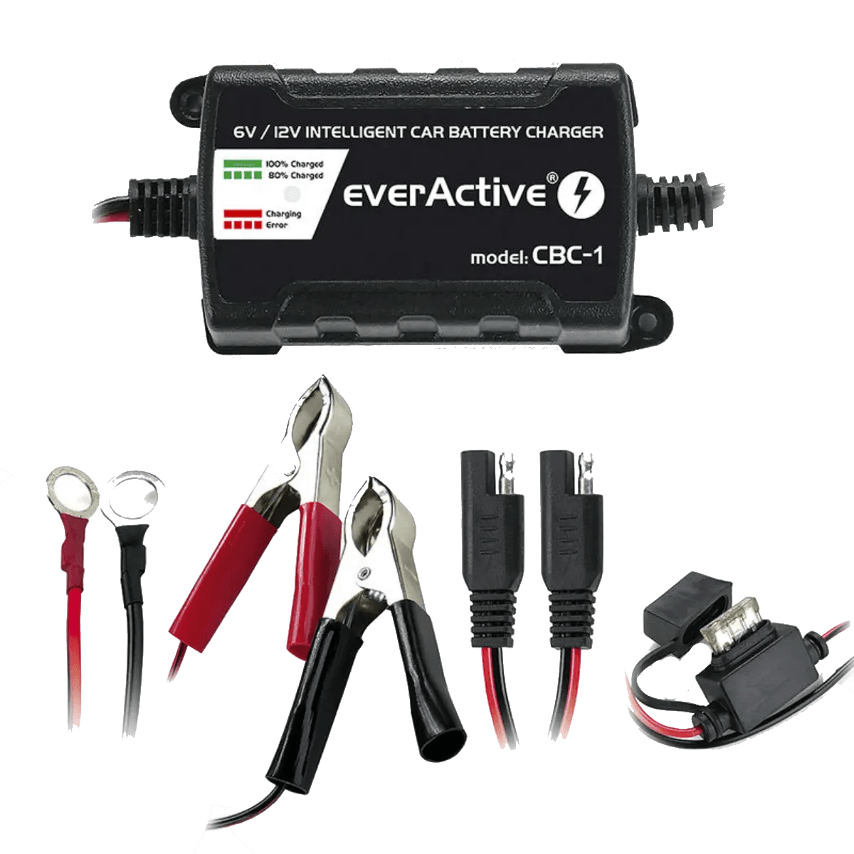 Chargeur intelligent pour batterie de véhicules 6V et 12V