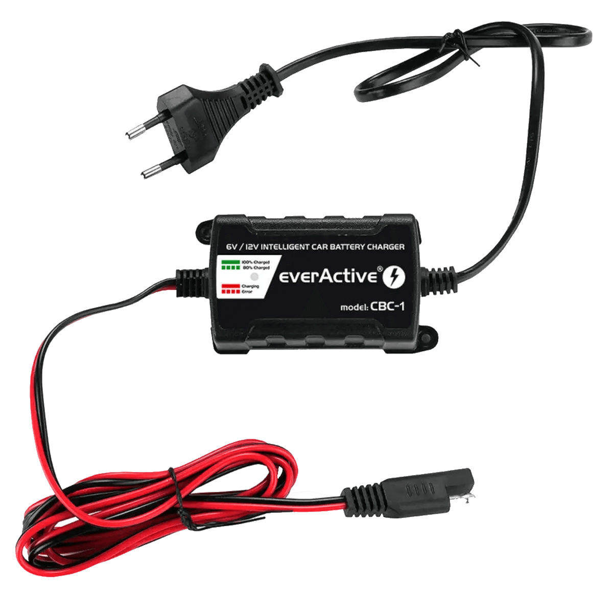 Chargeur intelligent pour batterie de véhicules 6V et 12V