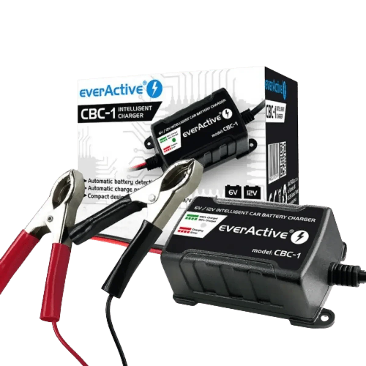 Chargeur intelligent pour batterie de véhicules 6V et 12V