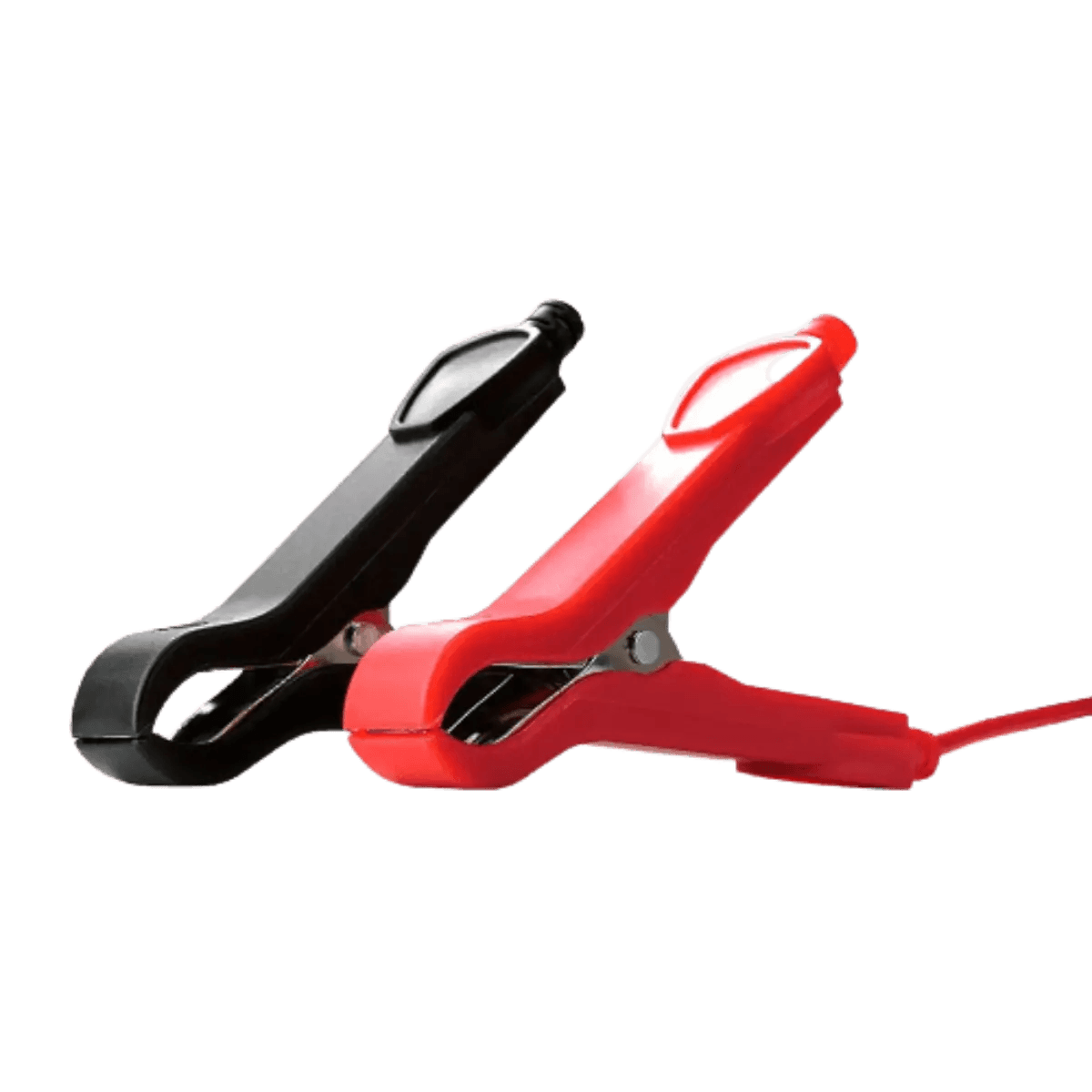 Chargeur intelligent pour batterie de véhicules 6V et 12V avec écran LCD