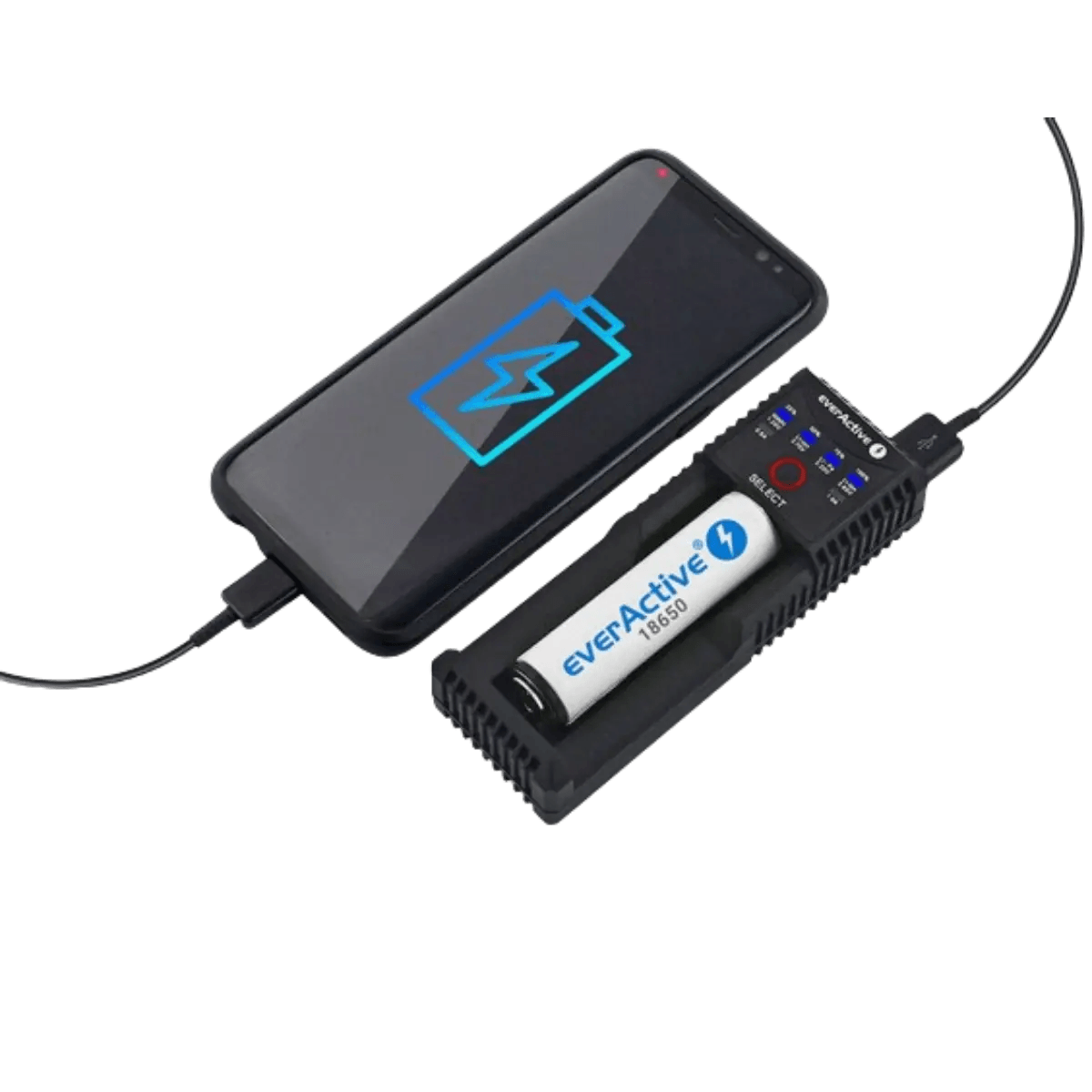 Chargeur pour 1 batterie, Li-Ion, LiFePO4 et Ni-MH