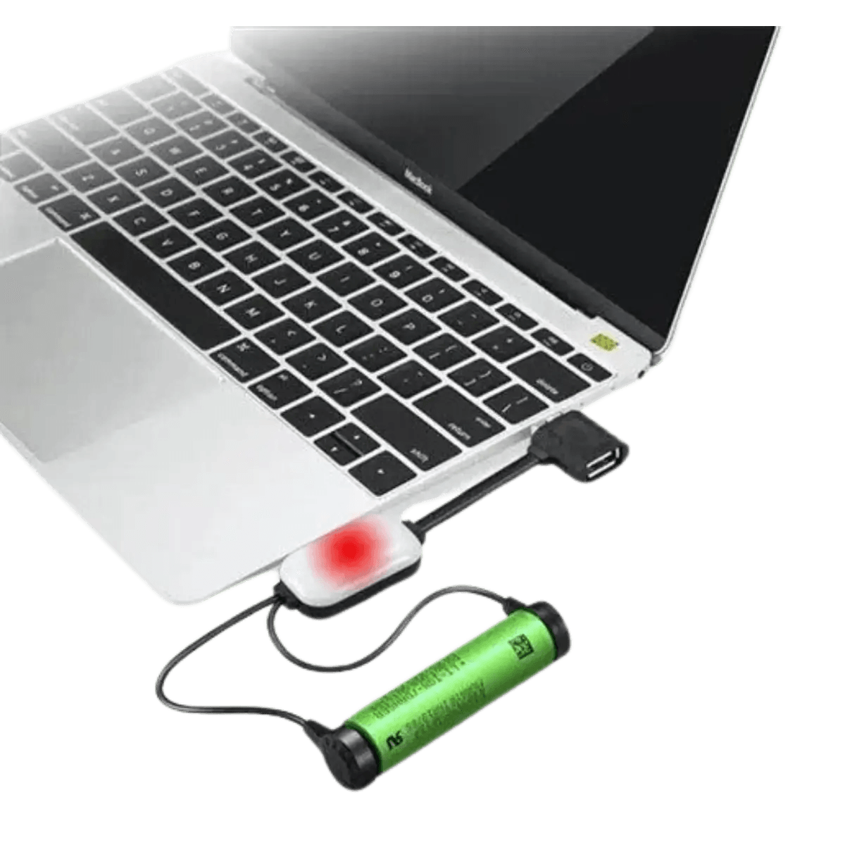 Chargeur de batterie Li-Ion portable