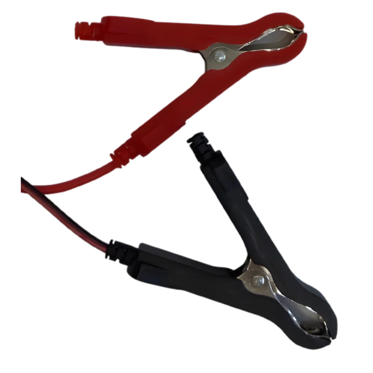 Chargeur de batterie LiFePo4 29.2V 5A avec pinces