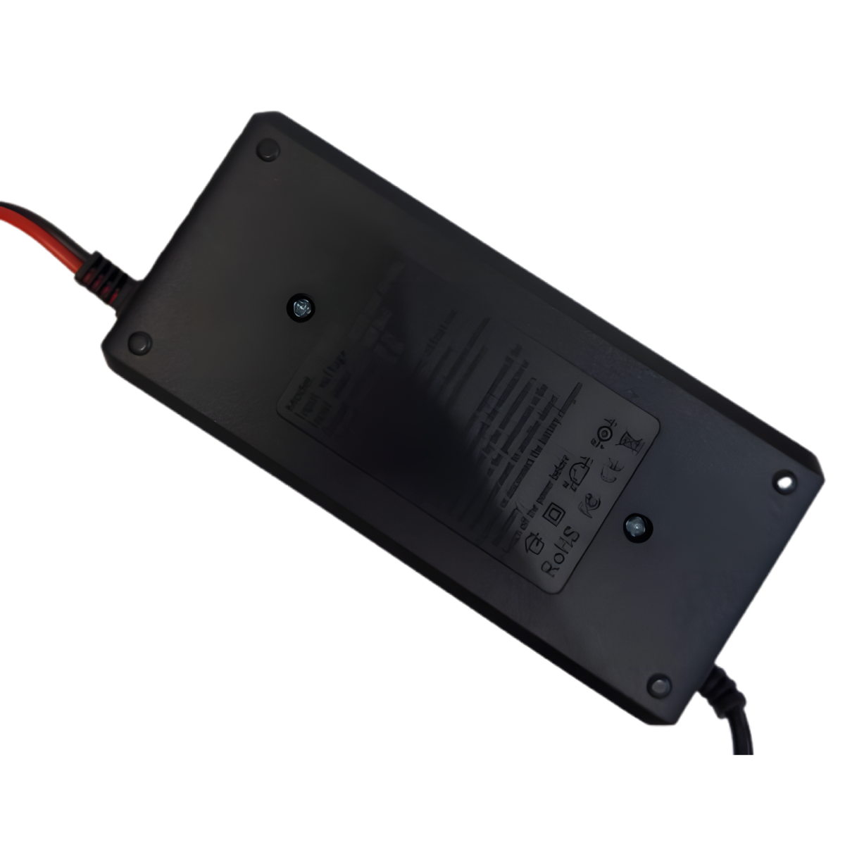 Chargeur de batterie LiFePo4 29.2V 5A avec pinces