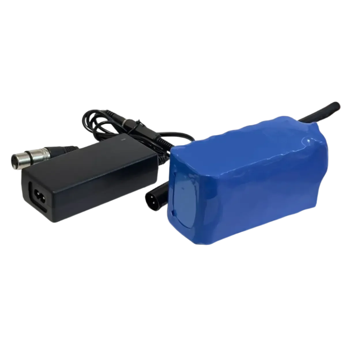 Batterie 7S3P Li-ion 24V 9.6Ah avec chargeur