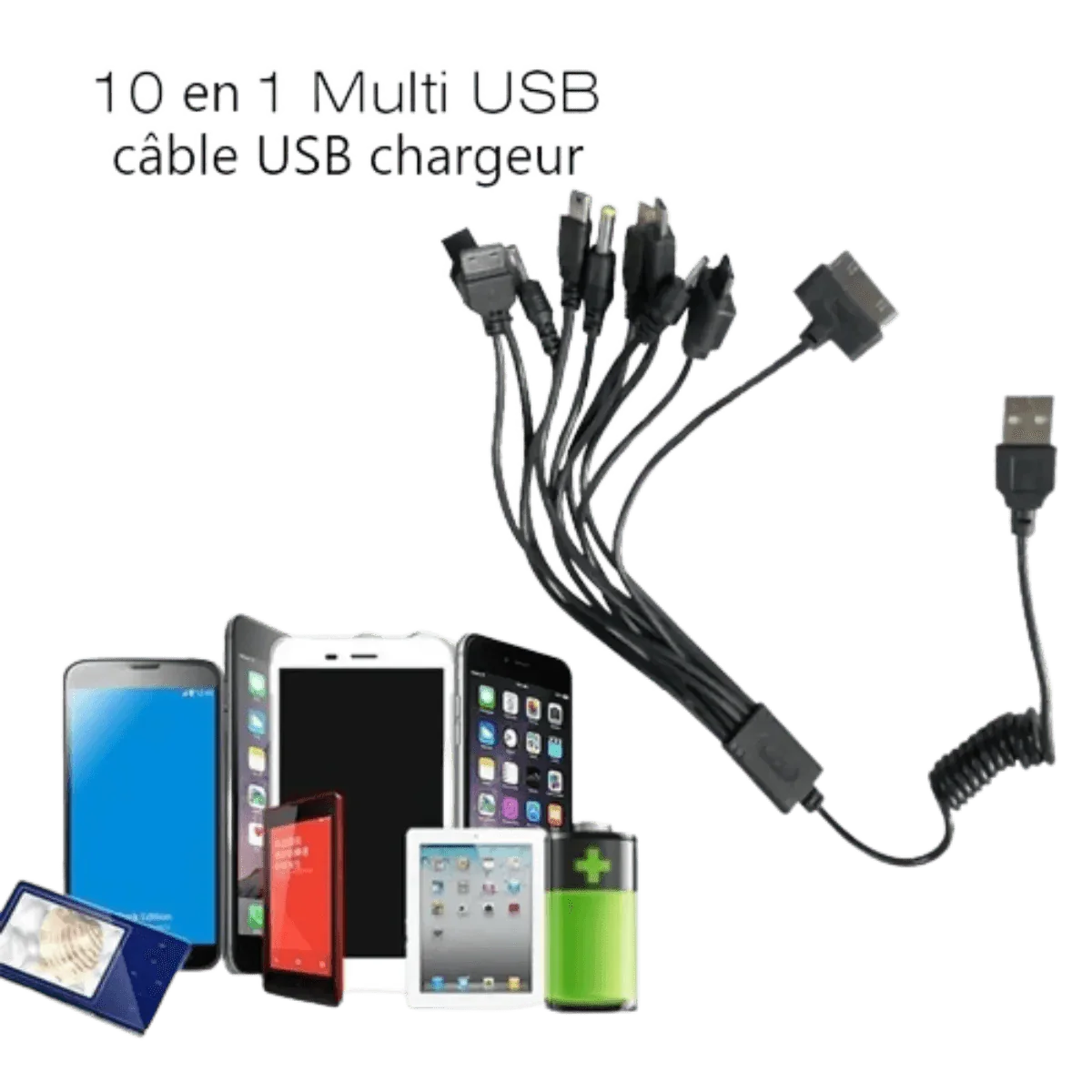 Câble de Chargement Universel 10 en 1 pour Téléphone Gsm