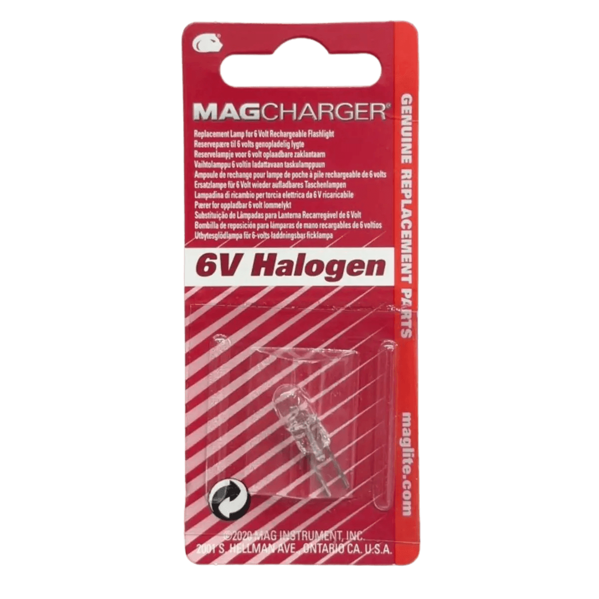 Ampoule halogène mag chargeur 6V