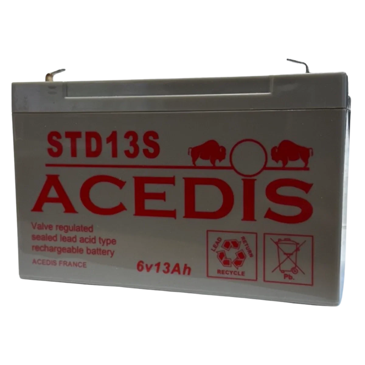 Face biais - Batterie Plomb AGM 6V 13Ah STD13S – Sans Entretien