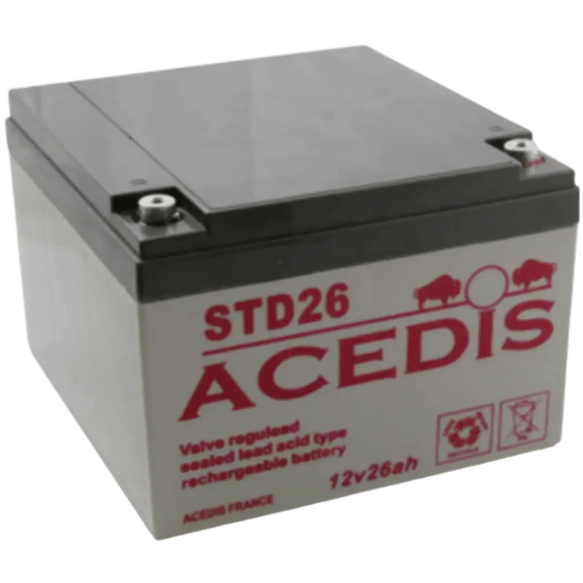 Batterie Plomb 12V 26Ah STD26