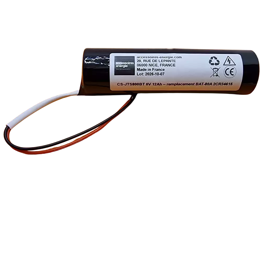 Pack pile 2CR34615 lithium 6V format BAT-80A