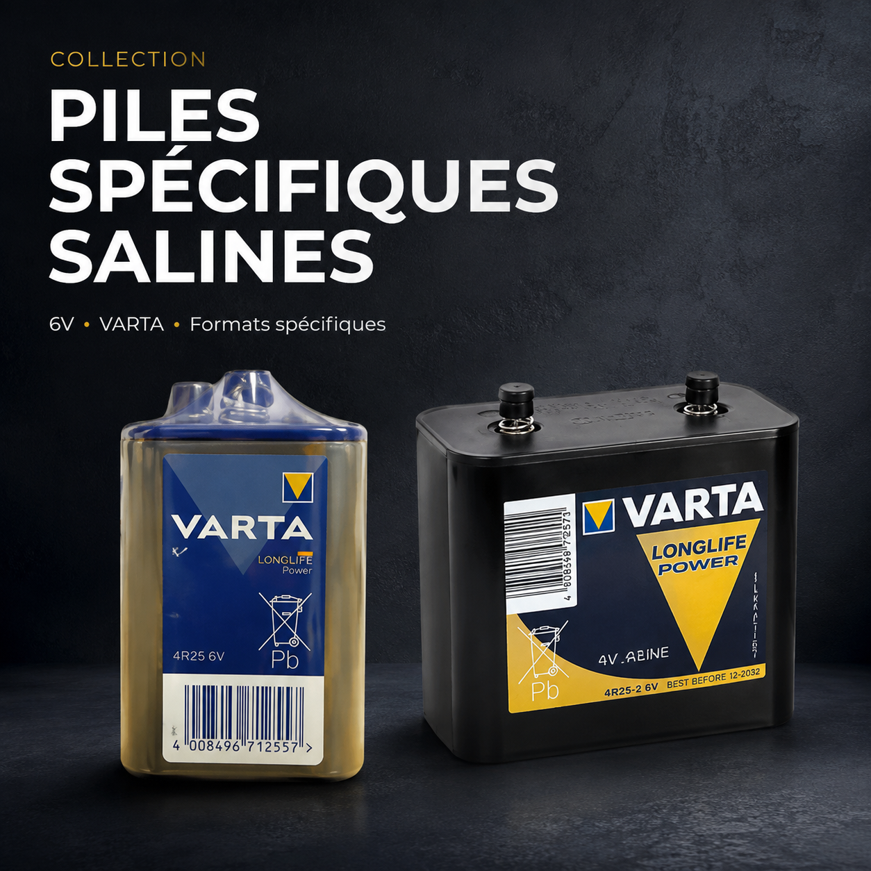 Piles spécifiques Salines zinc-carbone