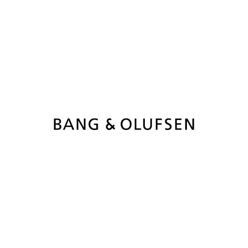 TSF Bang & Olufsen - Batteries, Chargeurs & Accessoires Accessoires Energie