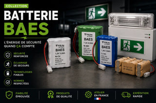 Batterie BAES
