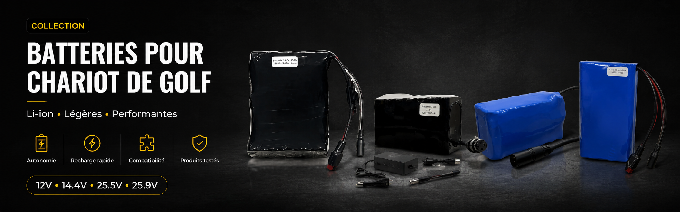 batterie pour chariot de golf