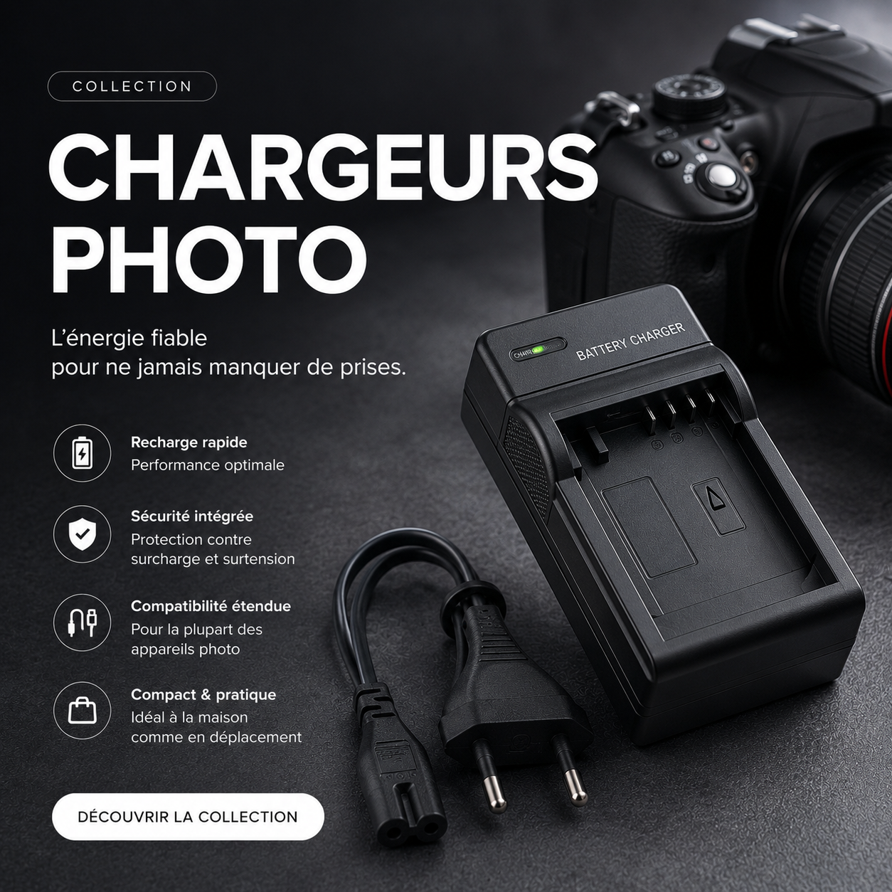 Chargeurs appareil photo compatibles Canon Nikon Sony Panasonic