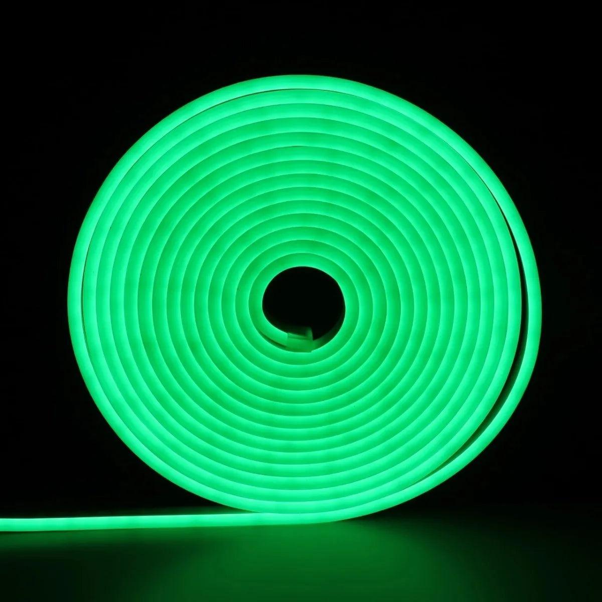 Bande LED néon flexible 12V Vert 5M Accessoires Energie