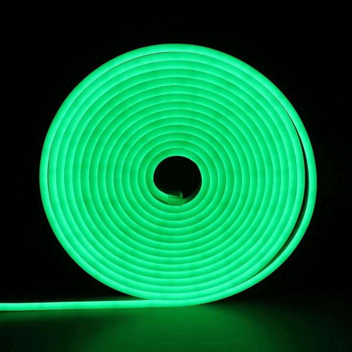 Bande LED néon flexible 12V Vert 6M Accessoires Energie