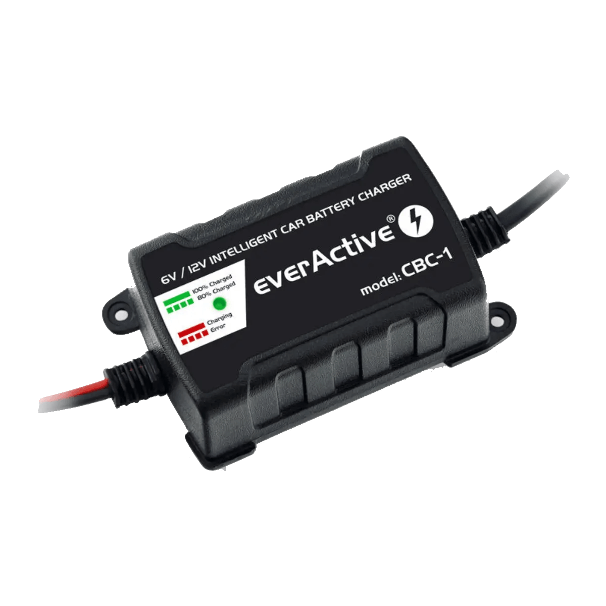 Chargeur intelligent pour batterie de véhicules 6V et 12V