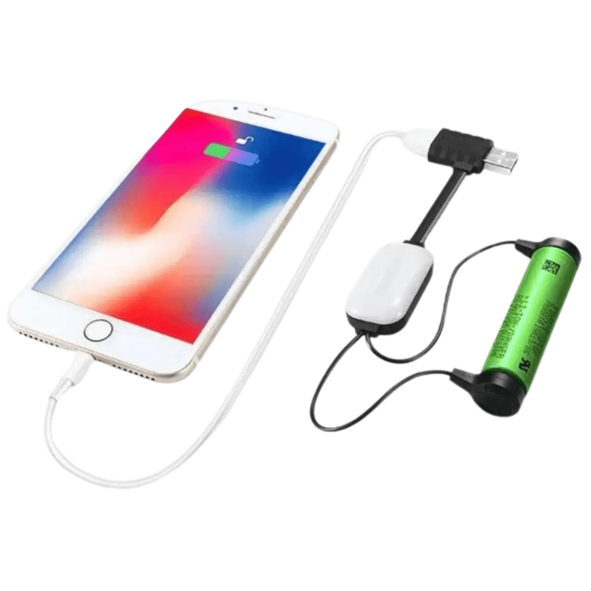 Chargeur de batterie Li-Ion portable