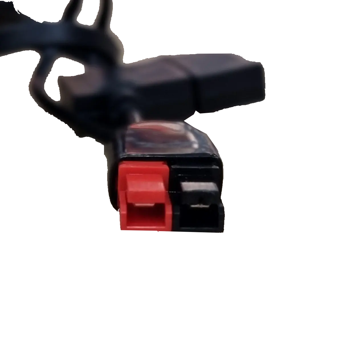 Connecteur du chargeur 12V 2A Batterie Plomb Chariot de Golf Trolley