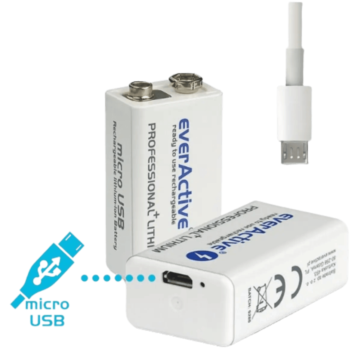 Batterie 9V Rechargeable 550mAh Lithium Ion