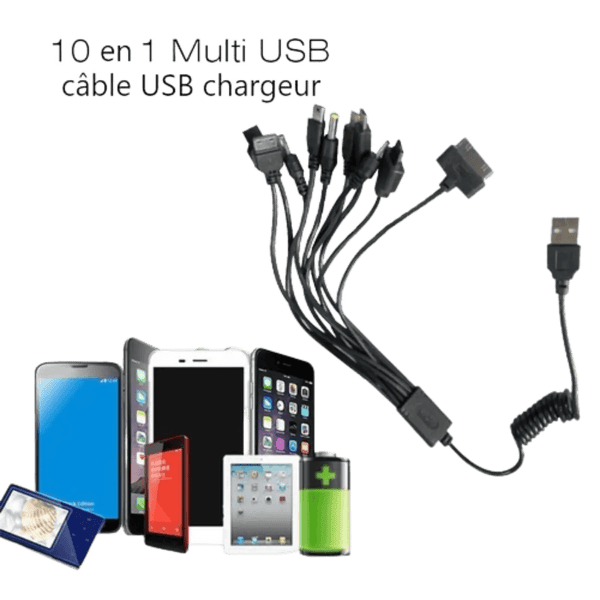 Chargeurs iPhone (Apple)