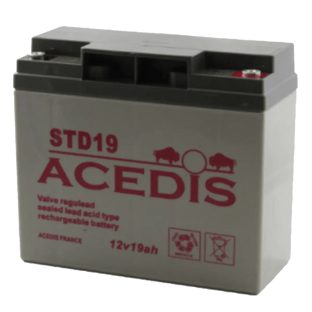 Batterie Plomb STD19 12V 18.5Ah