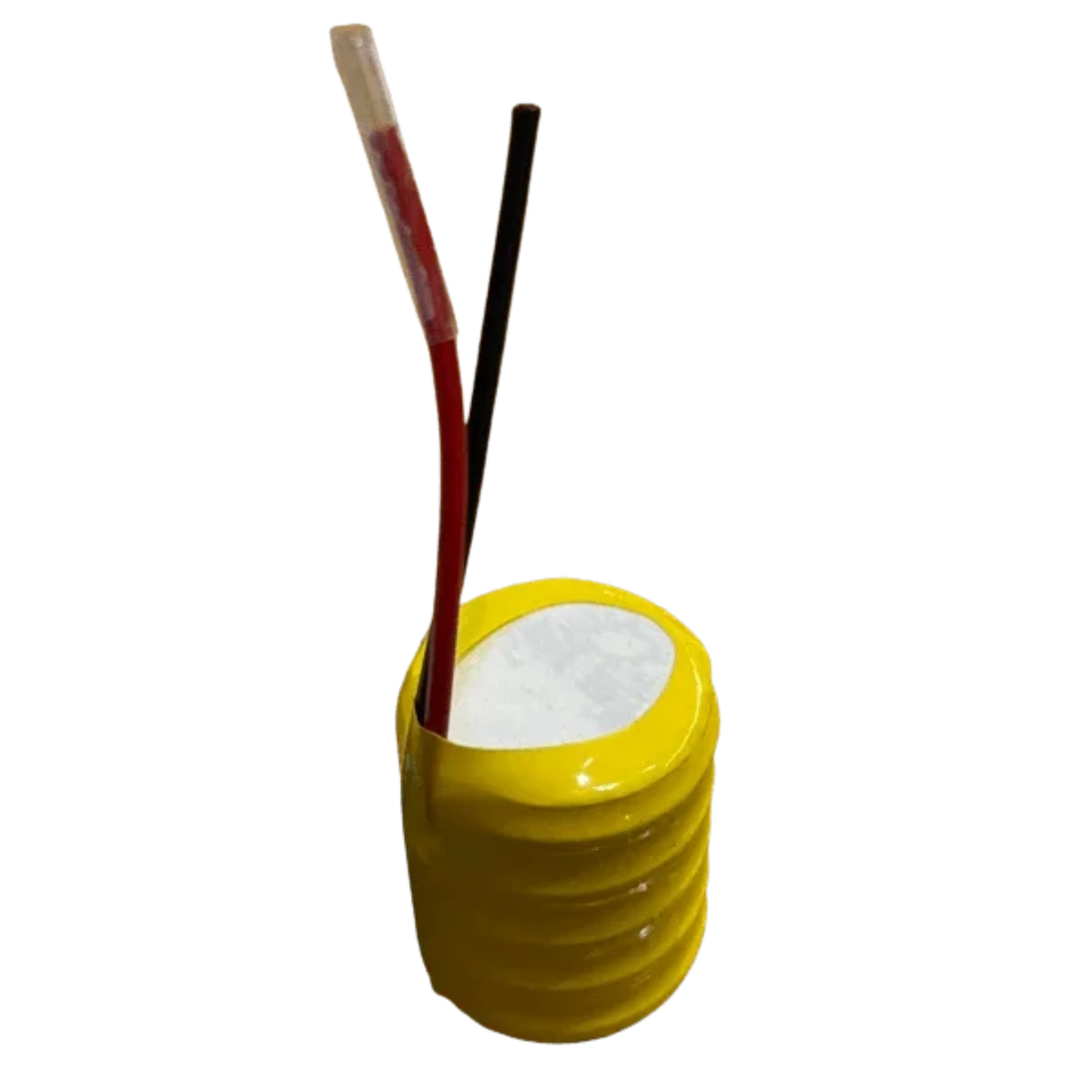 Batterie NiMh 6V pour programmateur XERUS NOIROT / 130686